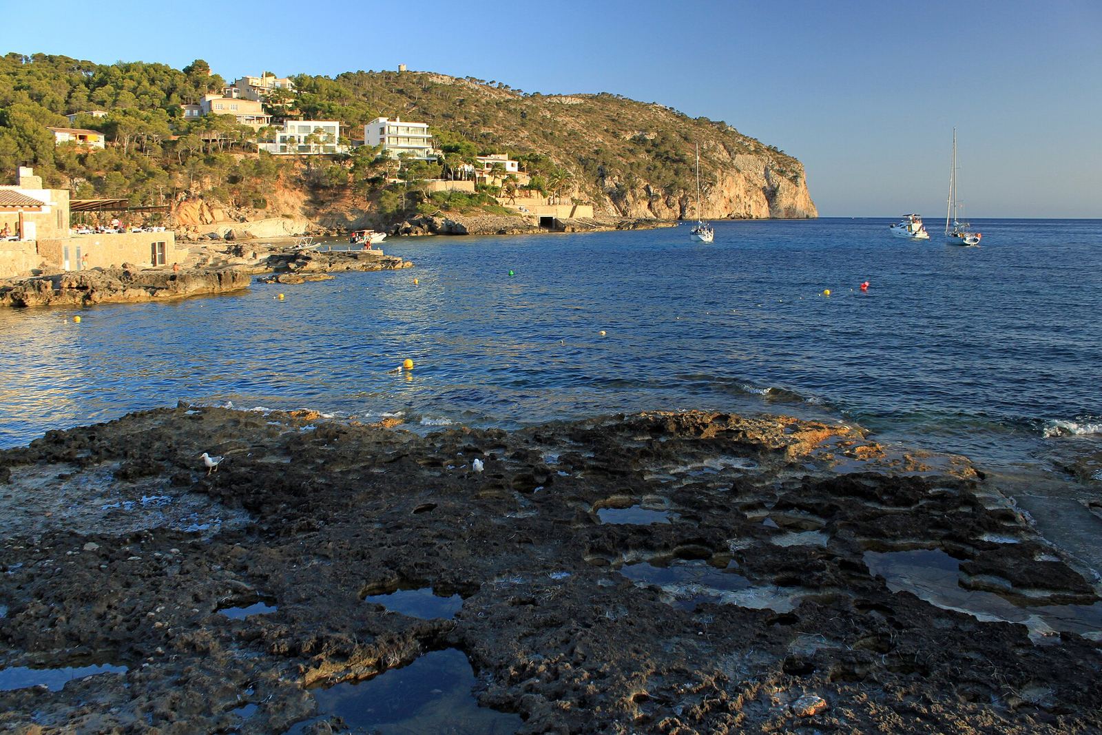 Camp de Mar cove with cliffside villas, southwest Mallorca