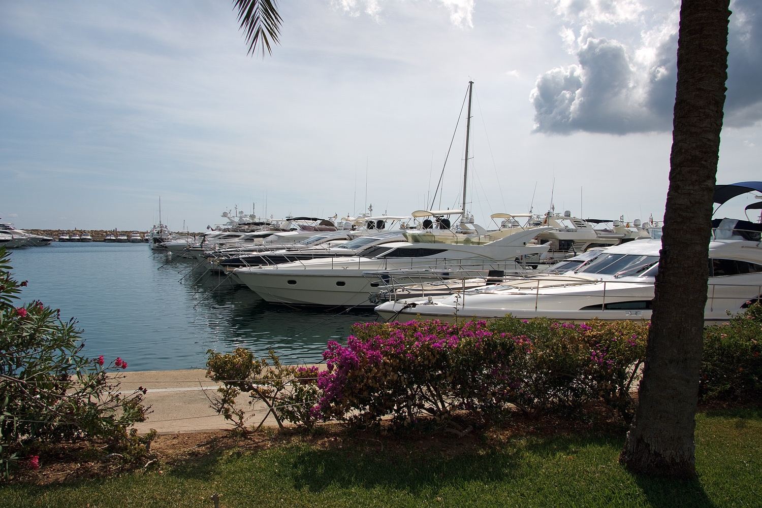 Yachts in Puerto Portals marina, Bendinat–Portals, Mallorca — property management by SOLUXE